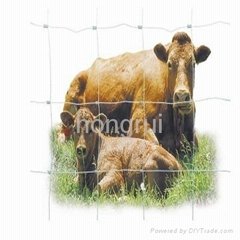 cattle fence