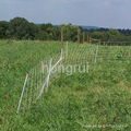 garden fence