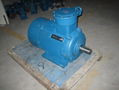 YB2 Series Explosion-Proof Three Phase Induction Motor 