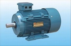 Y2 series three-phase induction motor 