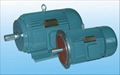 Y series three-phase induction motor 1