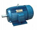 AEEF series three-phase induction motor 1