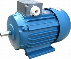 YS Series three-phase induction motor