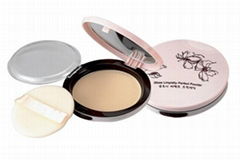 cosmetic pressed powder