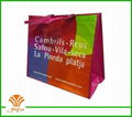 laser non woven bag for shoes,garment,gift and party 3