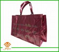 laser non woven bag for shoes,garment,gift and party  1