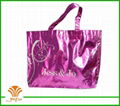 laser non woven bag for shoes,garment,gift and party  2