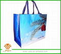 laser non woven bag for shoes,clothes,gift and party  1