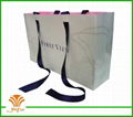 fashion paper bag for clothes,shoes,gift and party 2