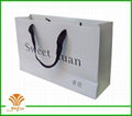 fashion paper bag for clothes,shoes,gift and party 3