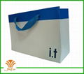 fashion paper bag for shoes,clothes,gift and party