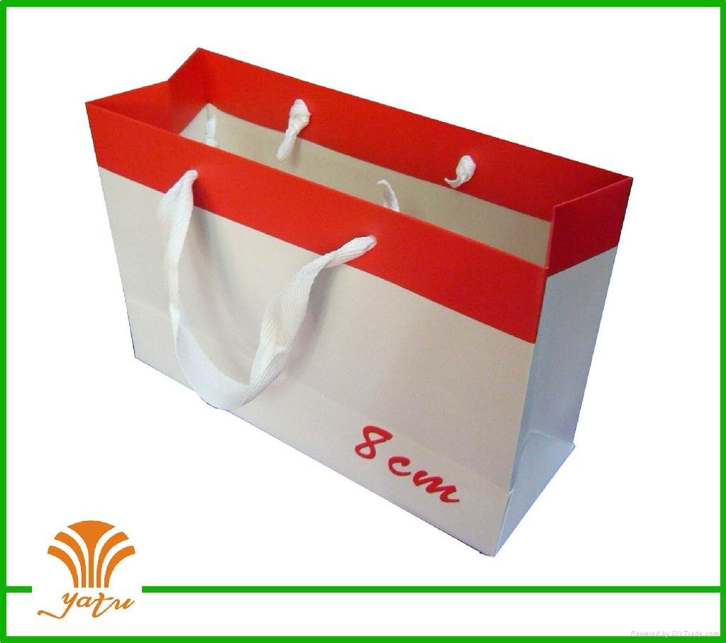 fashion paper bag for shoes,clothes,gift and party 2