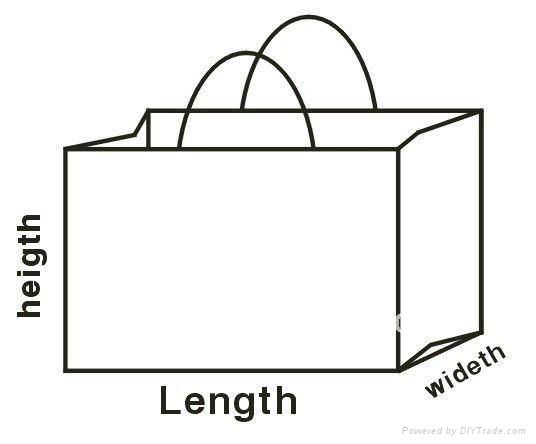 fashion paper bag for shoes,clothes,gift and party 3