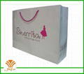 paper bag for garment,shoes,gift 2
