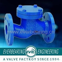 Cast Iron PN16 Check Valve 