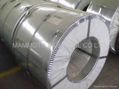 Aluzinc steel coils and sheets