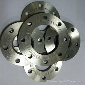 ANSI flange 4