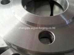 Zhangqiu Aiguo Forging Co., Ltd.