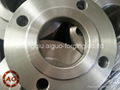 EN1092-1 TYPE01 B PN16 DN300 FORGED