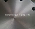 EN1092-1 TYPE05 1 PN16 DN300 FORGED FLANGES  2