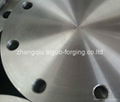 EN1092-1 TYPE05 1 PN16 DN300 FORGED FLANGES  3