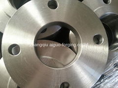 EN1092-1 TYPE01  FORGED FLANGES 