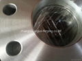 EN1092-1 TYPE01  FORGED FLANGES  2