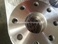 EN1092-1 TYPE01  FORGED FLANGES  3