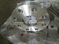 EN1092-1 TYPE01  FORGED FLANGES  4