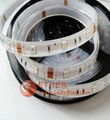 500cm 30LEDs/M waterproof 5050 LED strip light 1