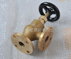 Bronze Angle type globe valves