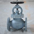 Cast steel ended at globe valves