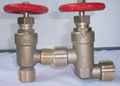 extemai thread bronze globe valve