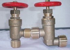 extemai thread bronze globe valve