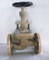 Marine bronze flang globe valves 1