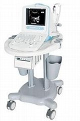 Chison 8100 VET Digital Ultrasound System