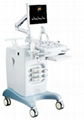 Chison iVis 60 EXPERT Color Doppler Ultrasound 1