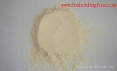 Onion powder 