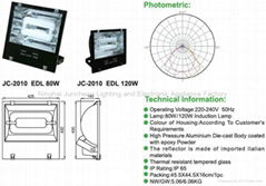 induction flood light 80W-120W