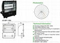 electrodeless flood light