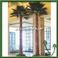 preserved indoor palm tree 4