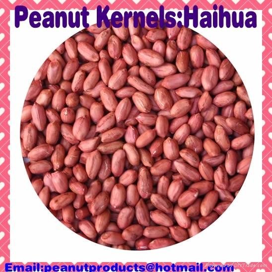 peanut kernels 2