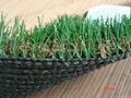 synthetic grass 5