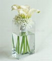 Square Glass Vase 1