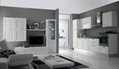 Modern style Kitchen Cabinets - Kitchen