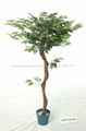 artificial ficus tree  1