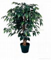 artificial green ficus tree  1