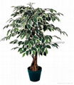 artificial sliver ficus tree  1