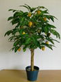 artificial lemon tree  1