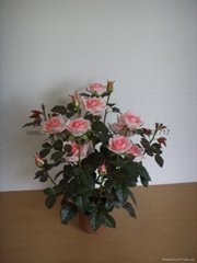 artificial rose 
